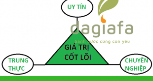 Giá trị cốt lõi tinh dầu tràm Dagiafa