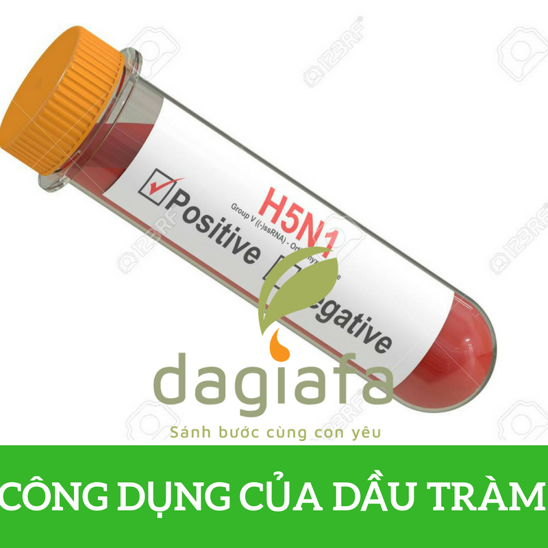 Công dụng dầu tràm đối với trẻ